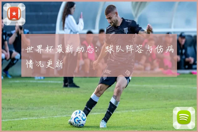 世界杯最新动态:球队阵容与伤病情况更新